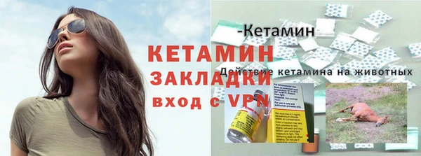 индика Бородино