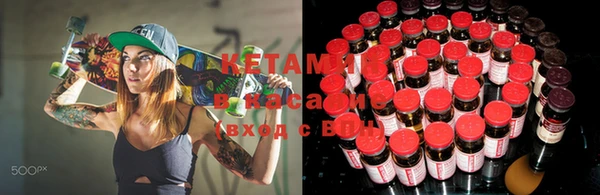 индика Бородино