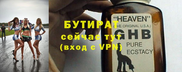индика Бородино