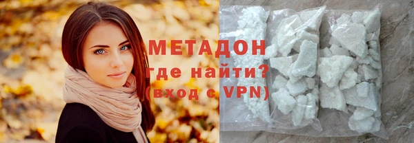 индика Бородино