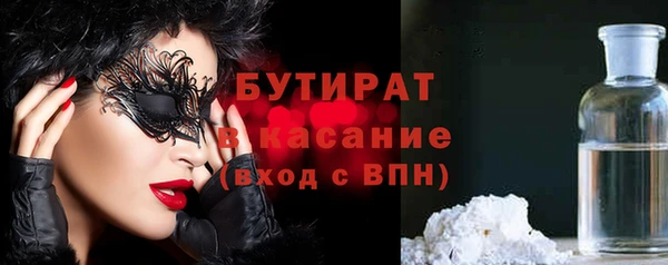 индика Бородино