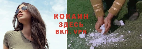 индика Бородино