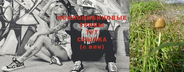 индика Бородино