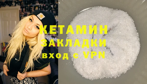 индика Бородино