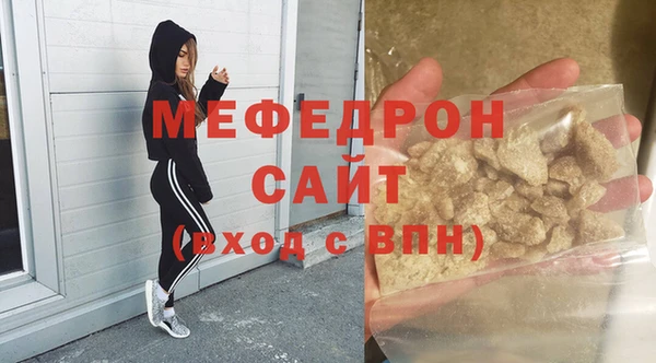 индика Бородино