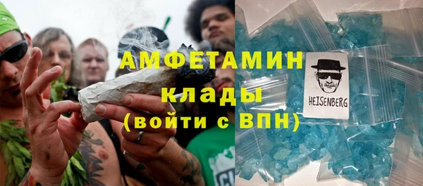 индика Бородино