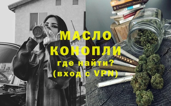 индика Бородино